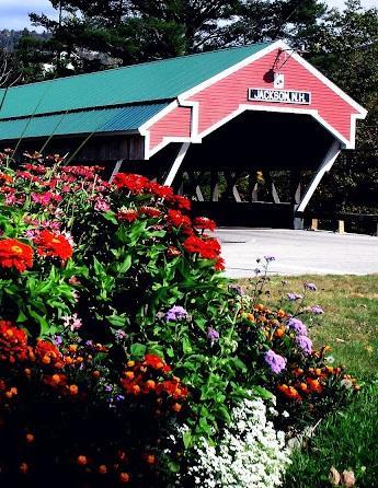 Covered Bridge River View Lodge (Adults Only) Jackson Kültér fotó